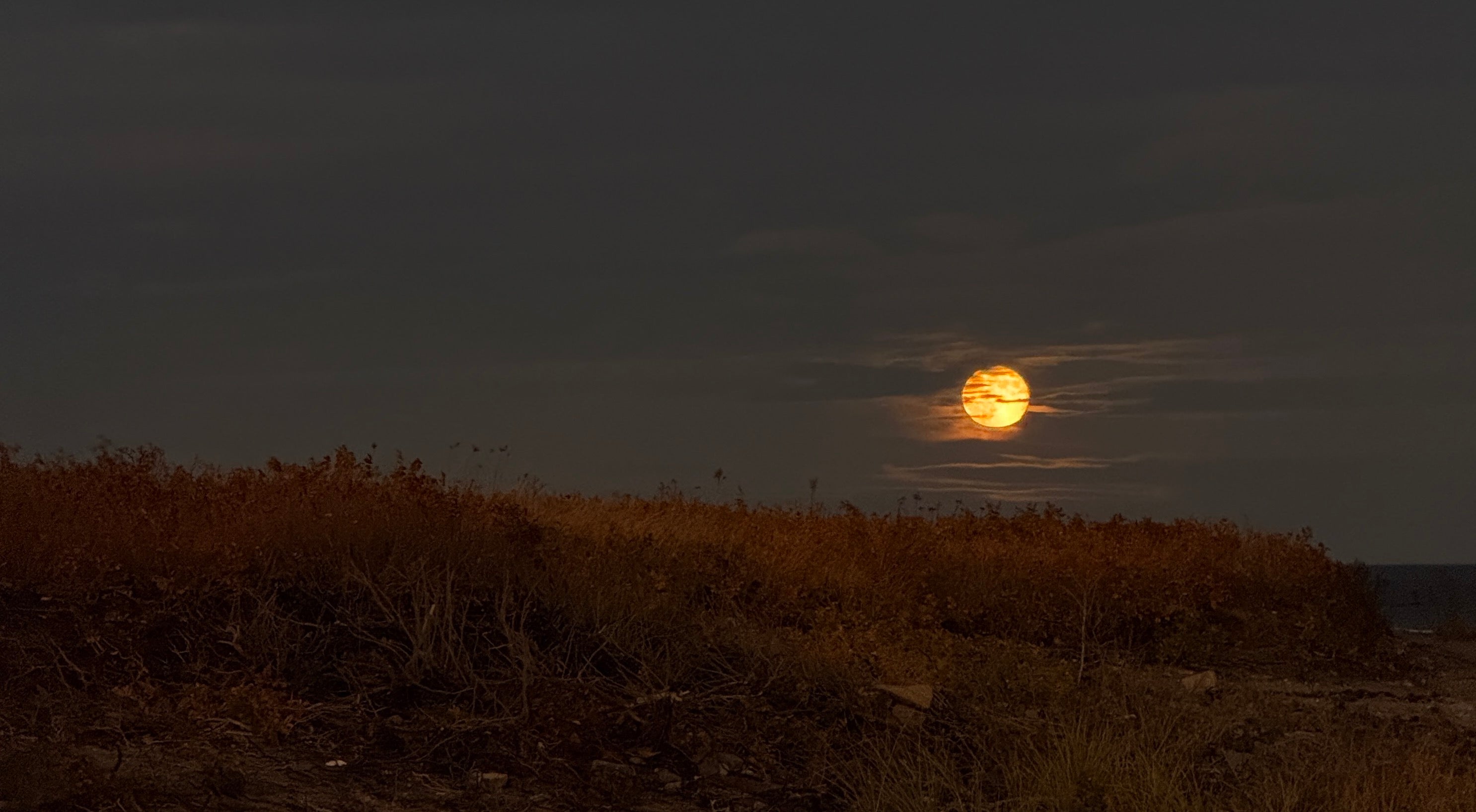 golden full moon at night on the beach