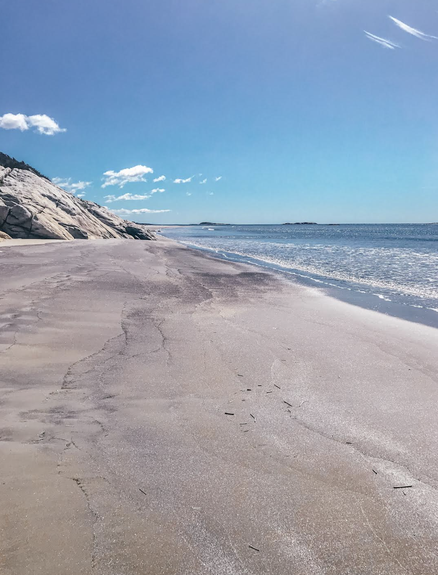 sandy beach with a rock