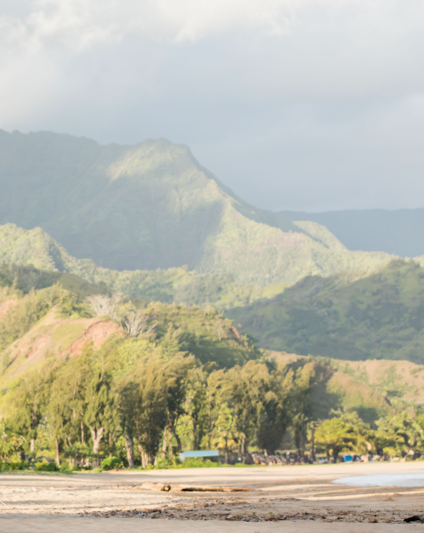 green mountains by the beach