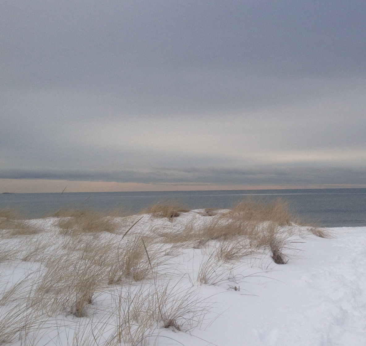 snowy beach