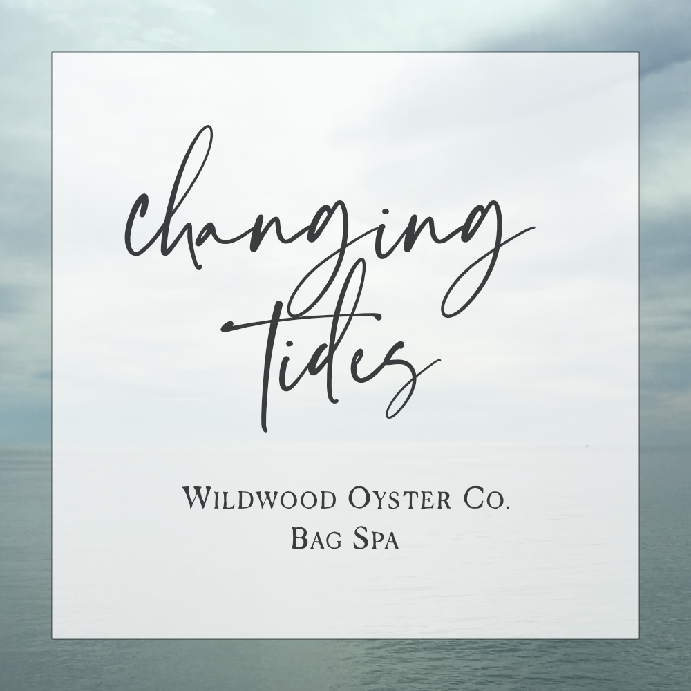 New Rope or Crossbody Conversion // Changing Tides at the Bag Spa