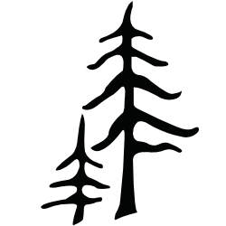 pine trees